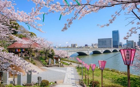 Best Hanami Spots in Niigata (2026 Guide) – Where to See Cherry Blossoms in Niigata