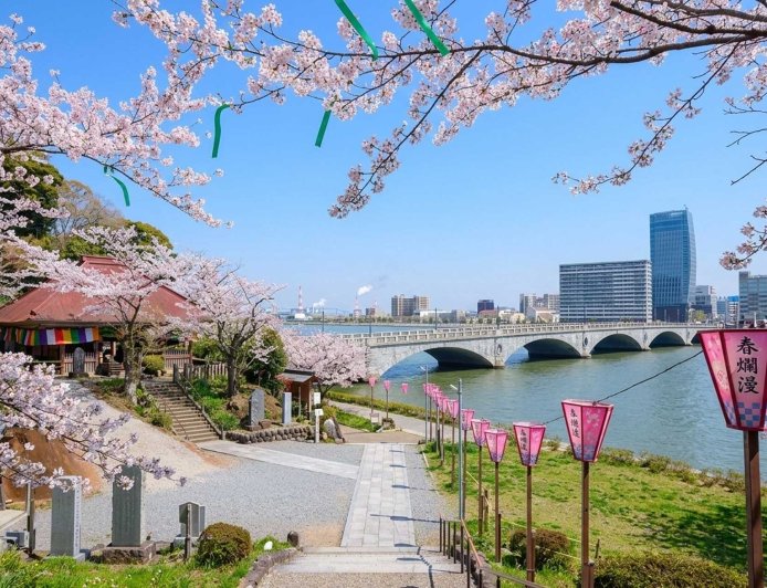 Best Hanami Spots in Niigata (2026 Guide) – Where to See Cherry Blossoms in Niigata