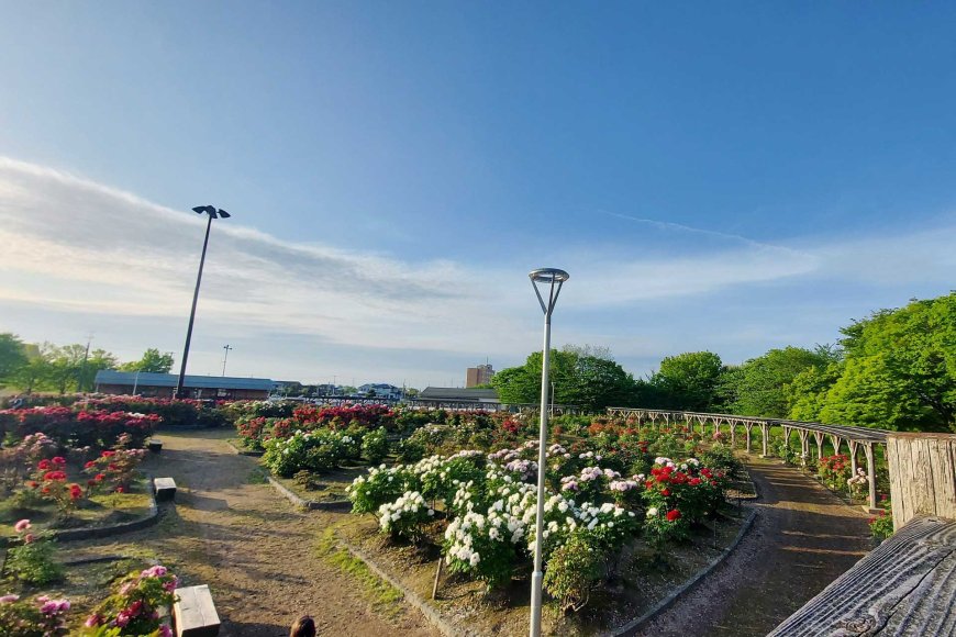 the-quiet-beauty-of-japanese-spring-compared-to-philippine-summers-02