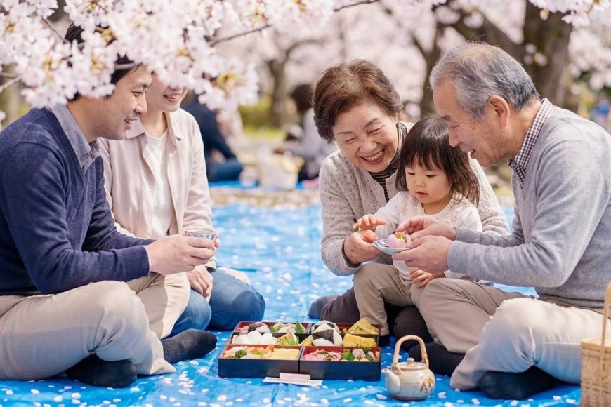 hanami-japan-cherry-blossom-tradition-05