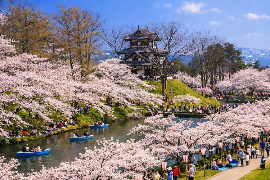 best-hanami-spots-in-niigata-2026-03