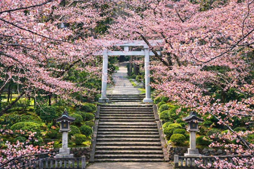 best-hanami-spots-in-niigata-2026-06