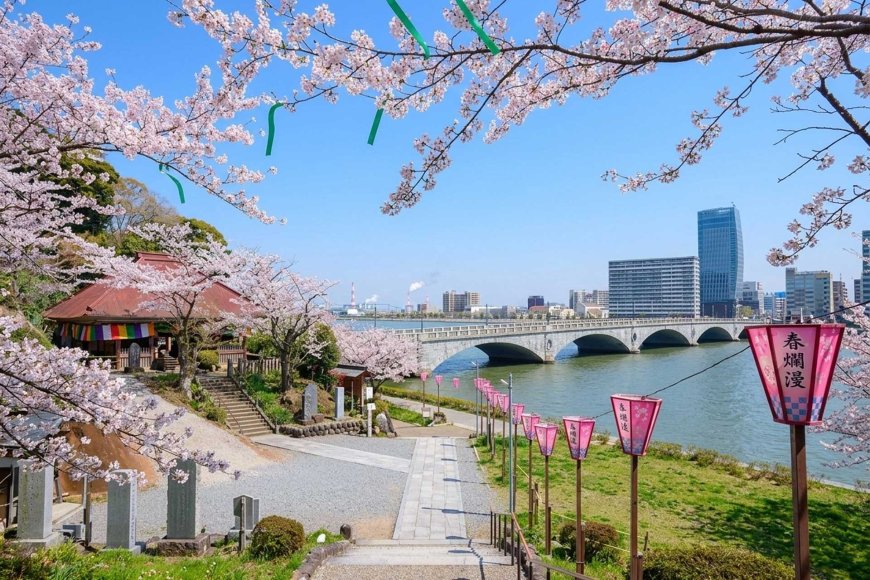 Best Hanami Spots in Niigata (2026 Guide) – Where to See Cherry Blossoms in Niigata
