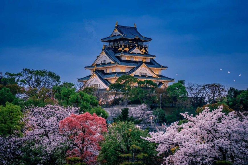 shunbun-no-hi-japan-2026-meaning-traditions-celebration-guide-06