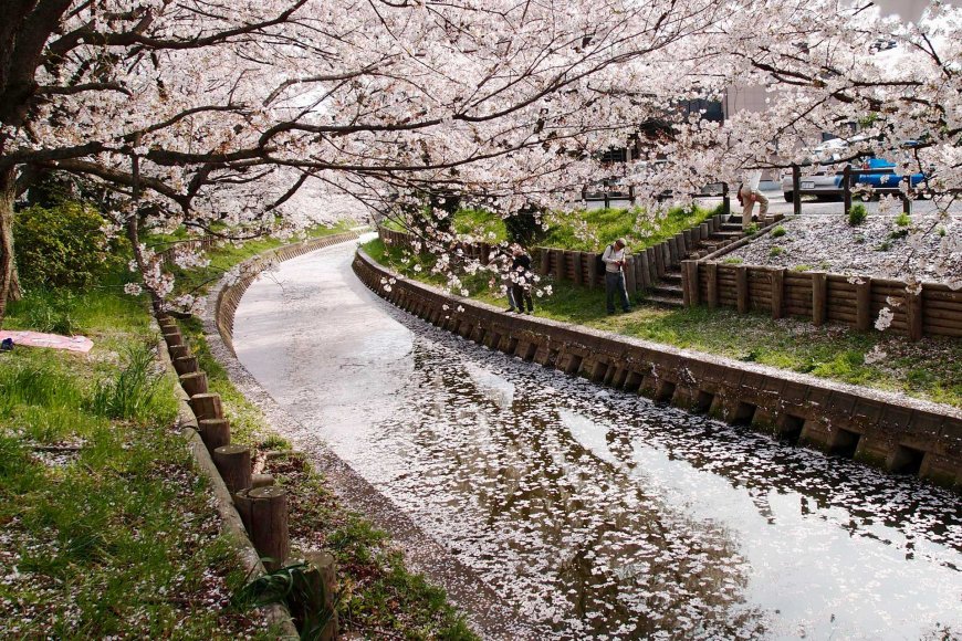moving-to-japan-guide-2026-04