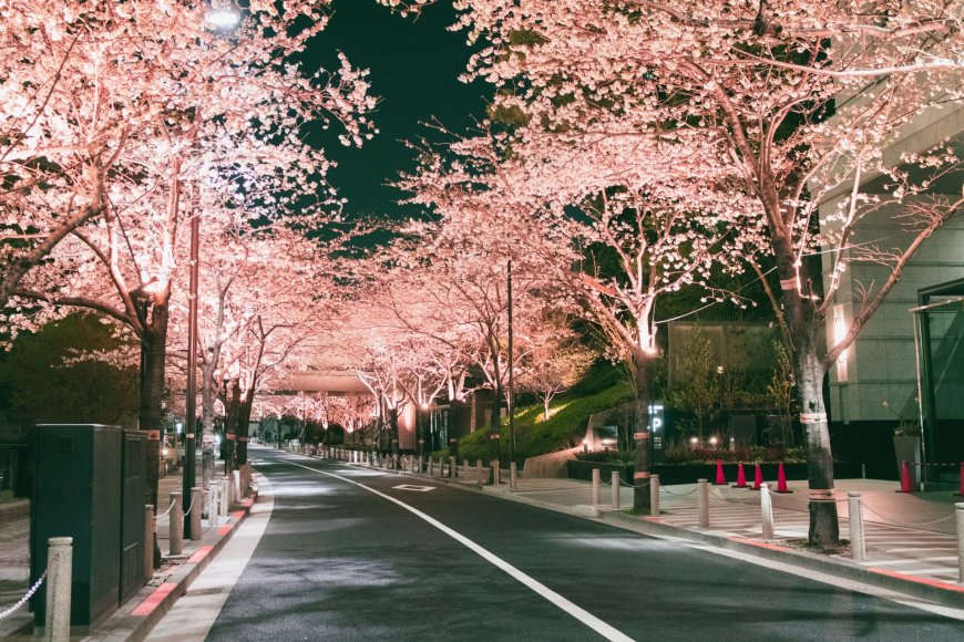 Public Behavior Rules in Japan: Silence, Cleanliness, and Respect