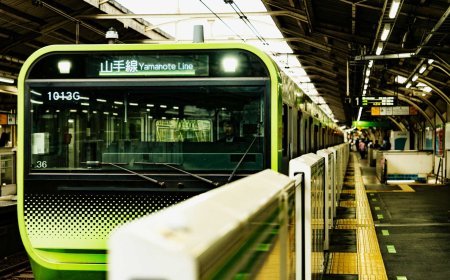 Guide to Transportation in Japan: Trains, Buses, IC Cards & More