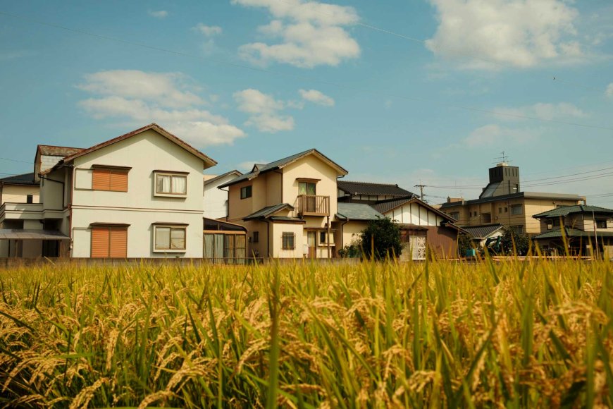 best-housing-options-japan-apartment-vs-share-house-vs-ur