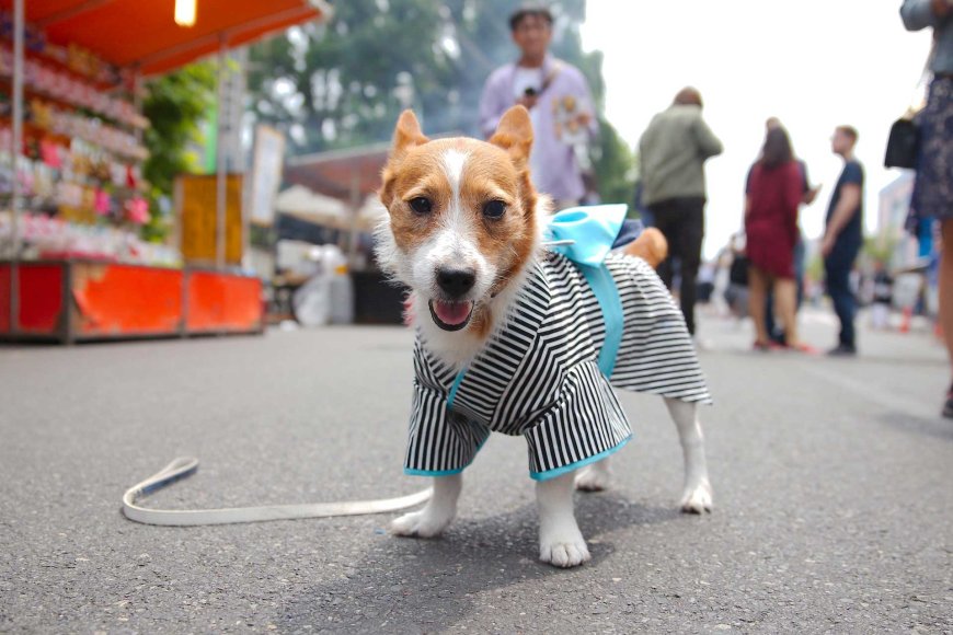 top-10-apartment-rules-in-japan-foreigners-must-know