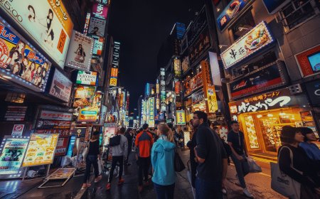 Types of Work Visas in Japan Explained