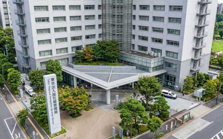 Japan Residence Fees Increase October 2026: New Visa Renewal & PR Costs