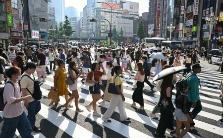 10 Things Foreigners in Japan Should Do Before October 2026